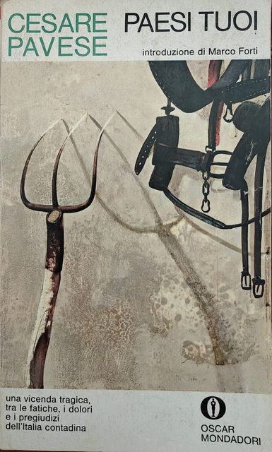 Copertina di Paesi tuoi