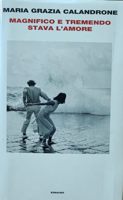 Copertina di Magnifico e tremendo stava l'amore