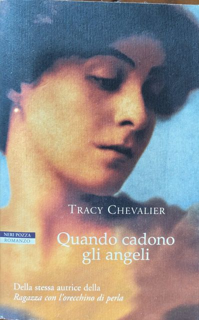 Copertina di Quando cadono gli angeli