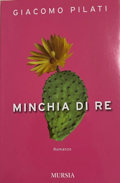 Copertina di Minchia di re