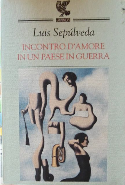 Copertina di Incontro d'amore in un paese in guerra