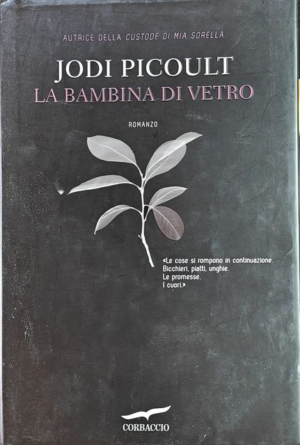 Copertina di La bambina di vetro