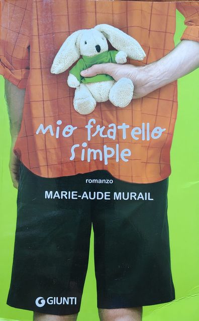 Copertina di Mio fratello Simple